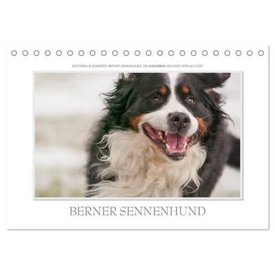 Emotionale Momente: Berner Sennenhund. (Tischkalender 2027 DIN A5 quer), CALVENDO Monatskalender