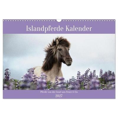 Islandpferde Kalender (Wandkalender 2027 DIN A3 quer), CALVENDO Monatskalender