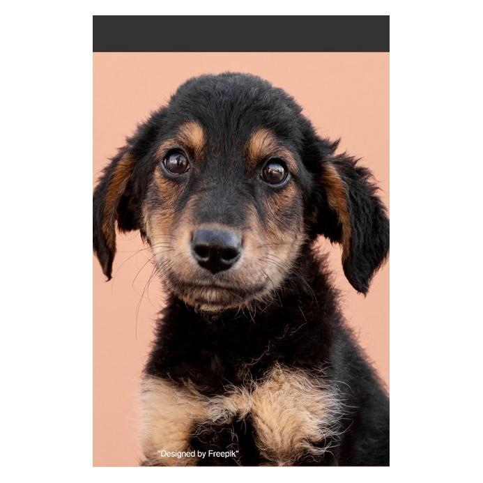 epubli Süsses Hunde Welpe Notizbuch Businessplaner Geschenkidee für Mann Frau und Kind (Blanko) (56136534)