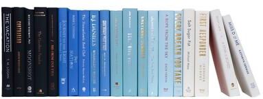 Booth & Williams Decorative Books - Waterfall Books - Blue Books By The Foot