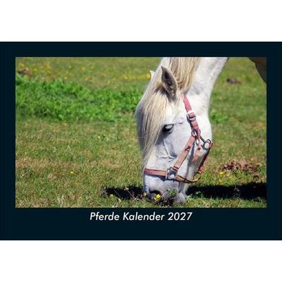 Pferde Kalender 2027 Fotokalender DIN A5