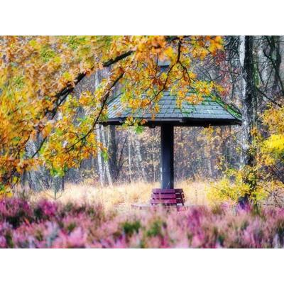 CALVENDO Puzzle Heide im Stadtpark | 1000 Teile Lege-Größe 64x48cm Foto-Puzzle für glückliche Stunden