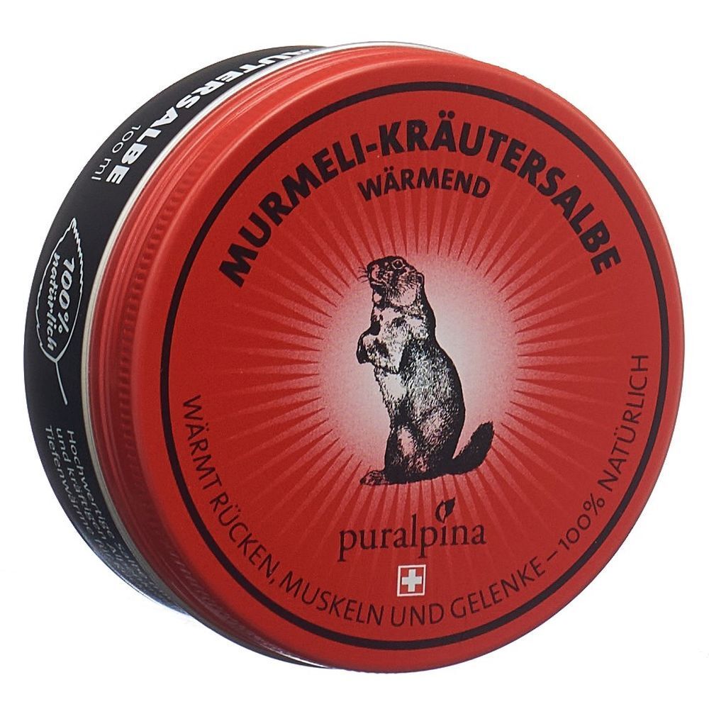 Puralpina Murmeli-Kräutersalbe wärmend 100 ml Salbe