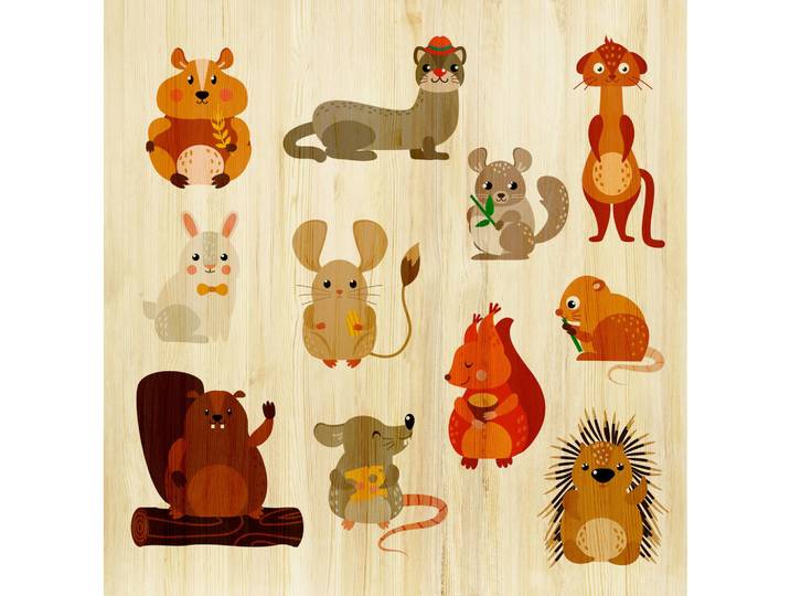 Babywanddeko Scandic Animals, Mehrfarbig, Holz, Birke, 50x50x3 cm, Babymöbel, Kinderzimmer-Deko, Babyzimmer Wanddeko