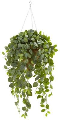 Nearly Natural Fittonia Artificial Plant in Hanging Cone Basket (Real Touch)