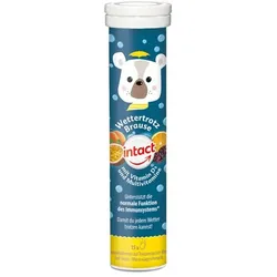 INTACT Wettertrotz Brausetabletten Multivitamin 15 St