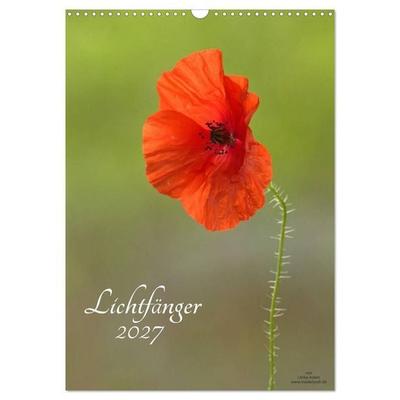 Lichtfänger (Wandkalender 2027 DIN A3 hoch), CALVENDO Monatskalender