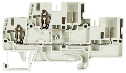 Wieland Electric 56.703.3455.0 Installationsetagenklemme Steckanschluss, Steckanschluss Grau 100St.