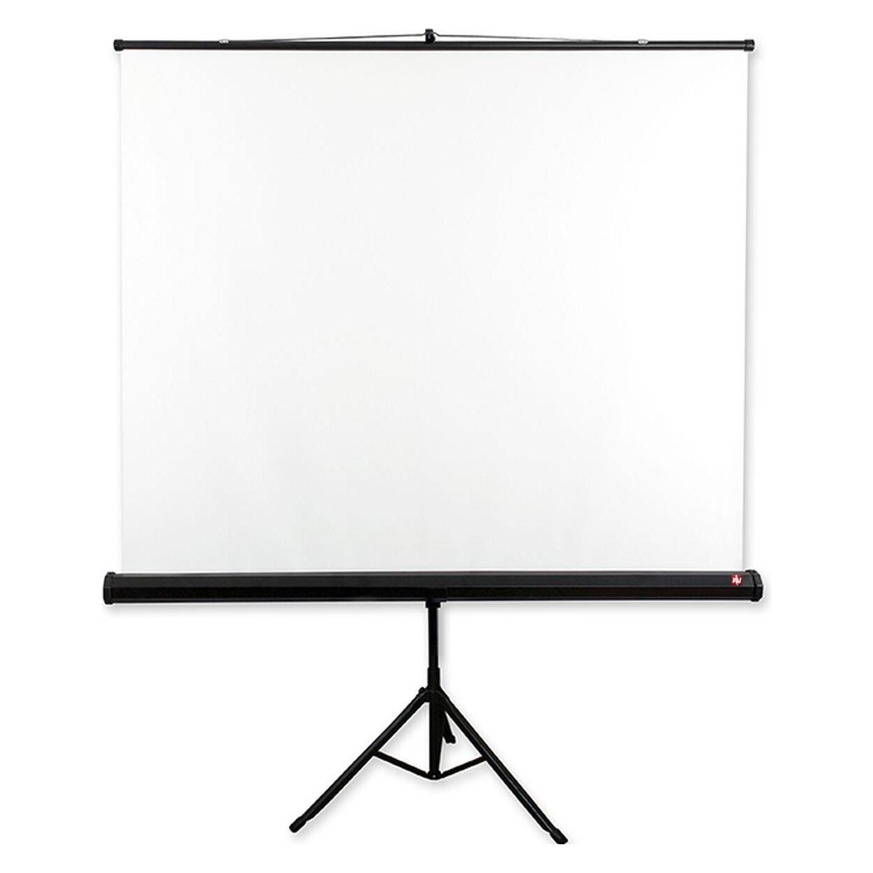 Avtek Tripod Standard 175 - Projektionsbildschirm mit Stativ - 247 cm (97") (97", 1:1) (1EVT03)