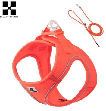 Inspired Finds Adjustable Reflective Dog Harness & Leash Set For Small & Medium Pets orange xxs