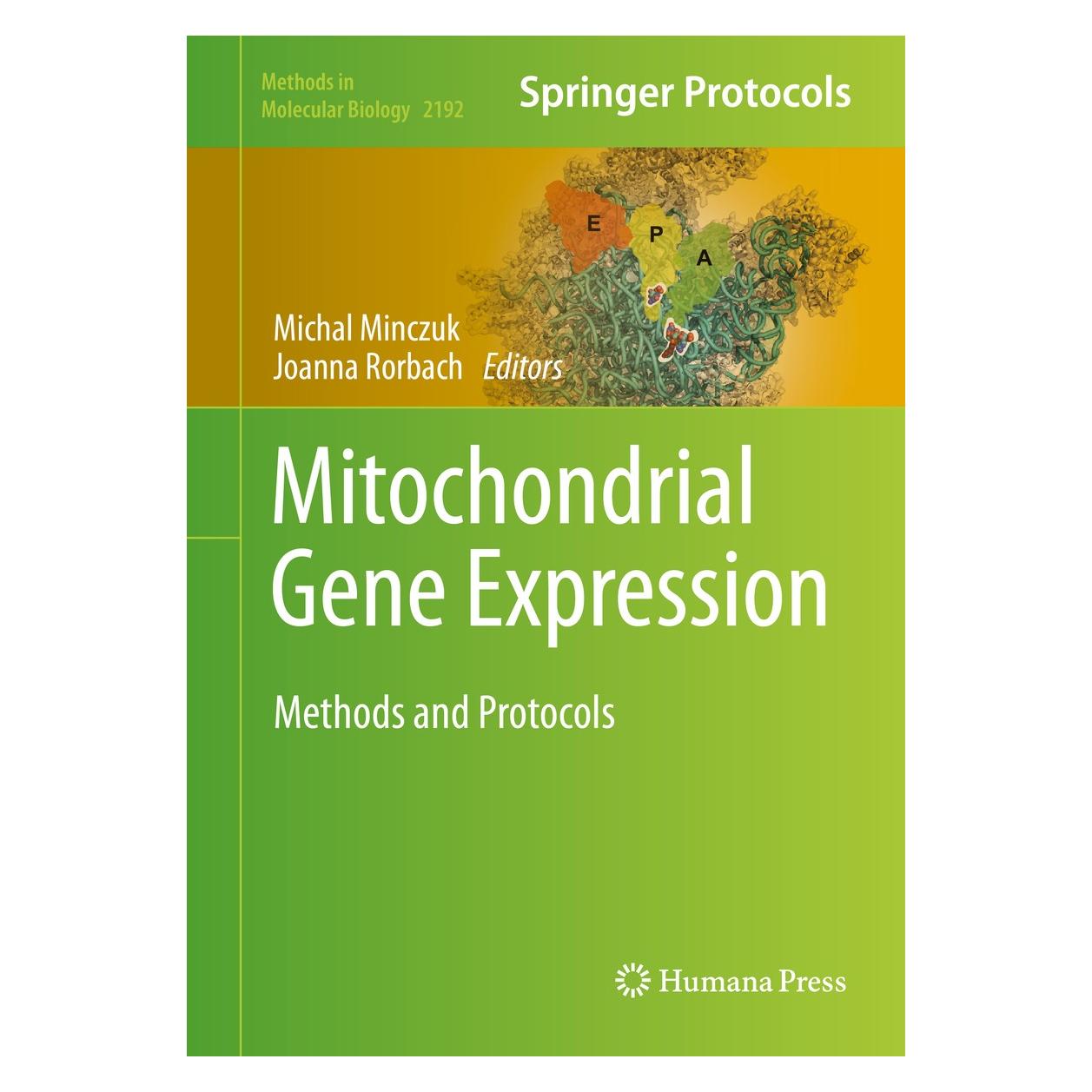 Springer Mitochondrial Gene Expression (Englisch, Hardcover, Joanna Rorbach, Michal Minczuk) (9781071608333)