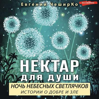 Noch' Nebesnyh Svetlyachkov. Istorii o Dobre i Zle - Evgeny CheshirKo, Audio, 9785171276881