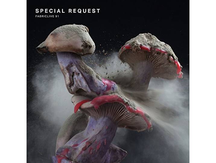 Special Request - Fabriclive 91 Special Request