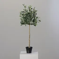 Olivenbaum grün (H 80 cm) - grün - H 80 cm