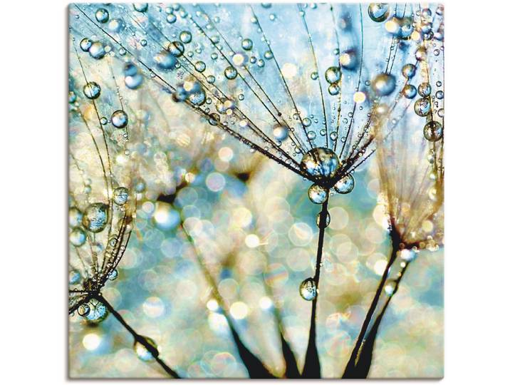 Leinwandbild ARTLAND Pusteblume Blaue Diamanten , blau (farbe bild(er): blau), B:70cm H:70cm, Bilder, Leinwandbild, auf Holzrahmen gespannt