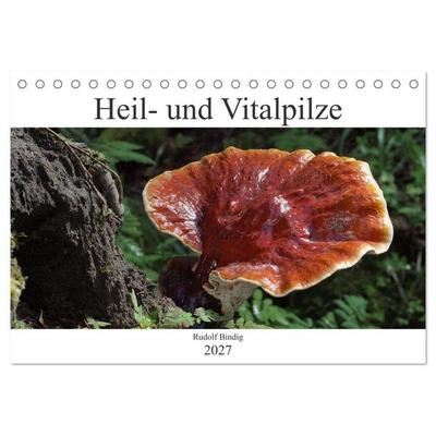 Heil- und Vitalpilze (Tischkalender 2027 DIN A5 quer), CALVENDO Monatskalender