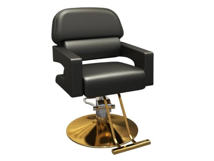 Dalumian Friseurstuhl, hydraulischer Stylingstuhl für Friseure und Barbiere Komfortable Rückenlehne und Fußstütze, höhenverstellbar, Stuhl für Tattoo- und Kosmetikbehandlungen(A)
