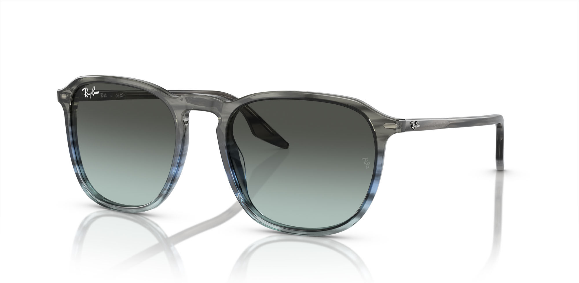 Sonnenbrille Ray-Ban RB 2203 (1391GK) Damen