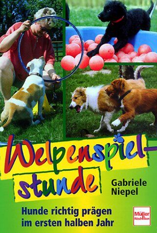 Gabriele Niepel - Welpenspielstunde: Hunde richtig prägen im ersten halben Jahr - Preis vom 09.10.2026 07:28:09 h