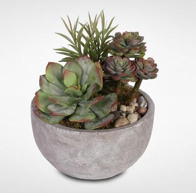 Artificial Succulents with Natural Pebbles in a Cement Bowl - Green