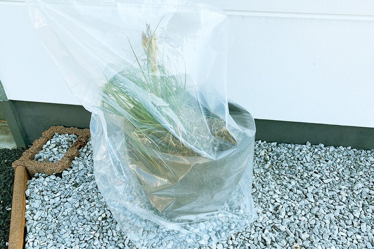 Axis Line 1 m breiter Sack in Wunschlänge für Weihnachtsbaum oder Gartenpflanzen