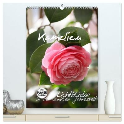 Kamelien Lichtblicke in der dunklen Jahreszeit (hochwertiger Premium Wandkalender 2027 DIN A2 hoch), Kunstdruck in Hochglanz