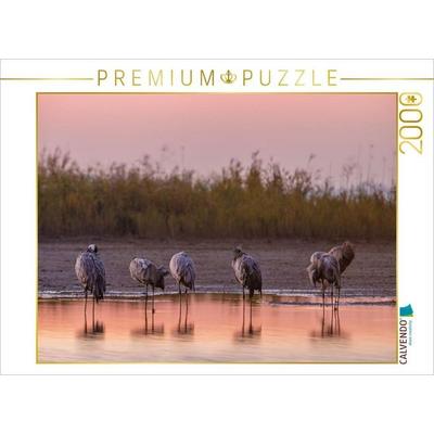 CALVENDO Puzzle Im Wasser schlafende Kraniche im Morgenrot | 2000 Teile Lege-Größe 90 × 67 cm Foto-Puzzle für glückliche Stunden