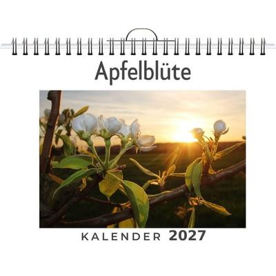 Apfelblüte