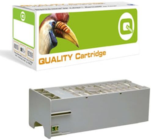 Q-Nomic C12C890191 cartucho de mantenimiento