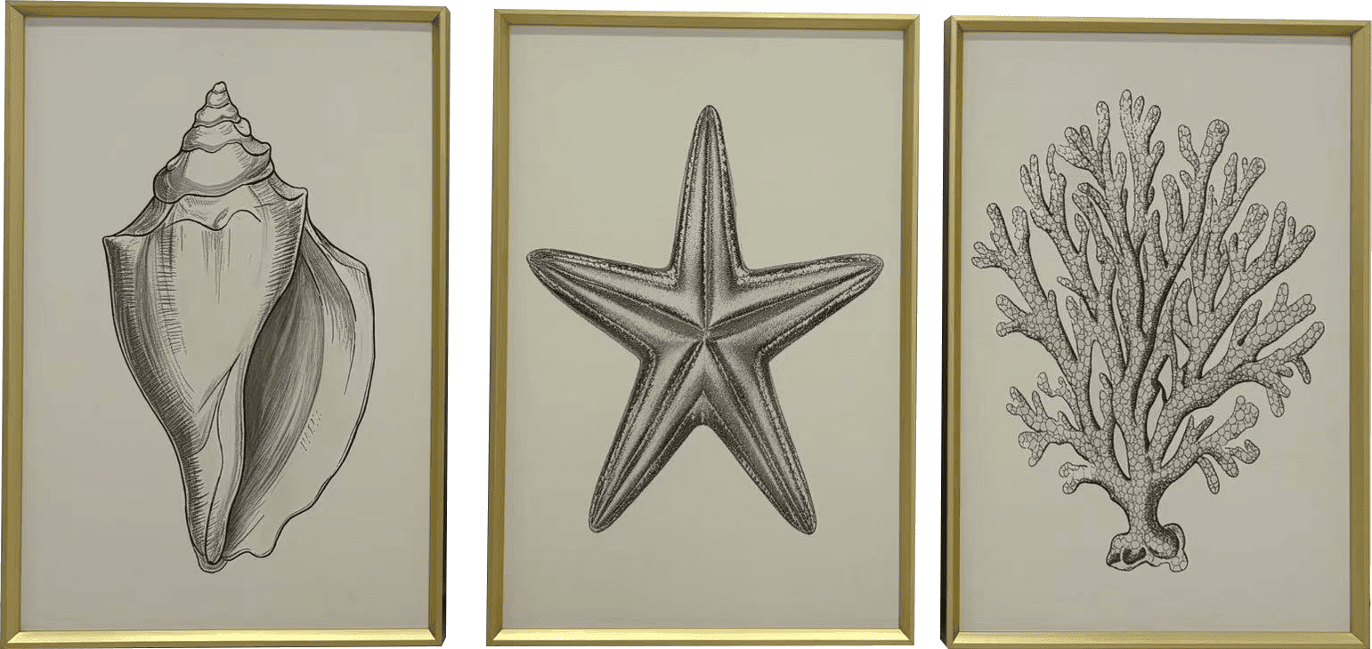 Solstice Coastal Canvas Wall Art with Gold Frame - Set of 3