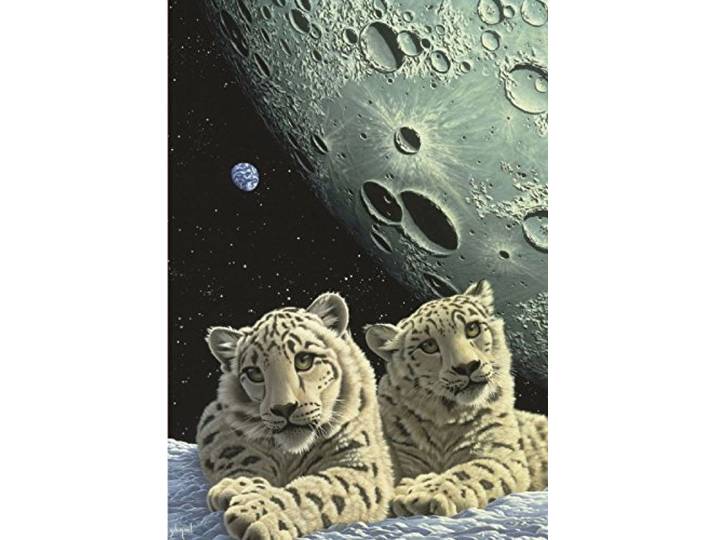 Grafika Schim Schimmel - Lair of the Snow Leopard