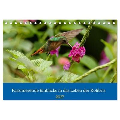 Faszinierende Einblicke in das Leben der Kolibris (Tischkalender 2027 DIN A5 quer), CALVENDO Monatskalender