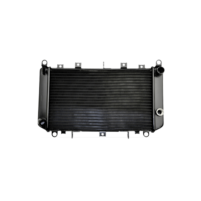 NISSENS Kühler, Motorkühlung OPEL,PEUGEOT,CITROËN 607246 9825333880 Kühler,Wasserkühler,Autokühler,Motorkühler