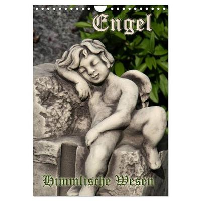 Engel - Himmlische Wesen (Wandkalender 2026 DIN A4 hoch), CALVENDO Monatskalender