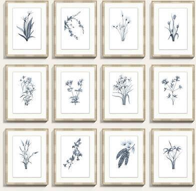 "Fragile Blossoms Art - Cornflower - Print IX, 30""x 23"" - Ballard Designs"