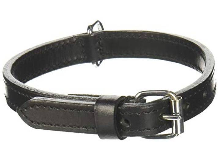 TRIXIE Active halsband