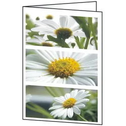 Sigel, Kopierpapier, Faltkarten (220 g/m2)