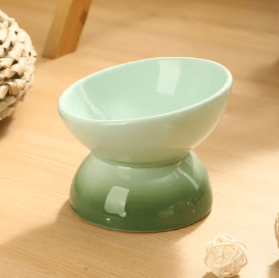 Inspire Picks Elevated Tilted Ceramic Cat Bowl Dishwasher & Microwave Safe Pet Feeding Dish light Green