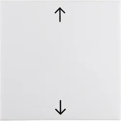 Berker Wippe pws/gl 16208919