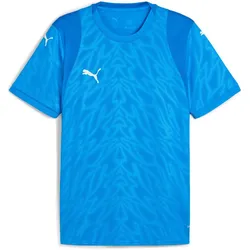Puma, Herren, Sportshirt, teamCUP Jersey (M), Blau, M