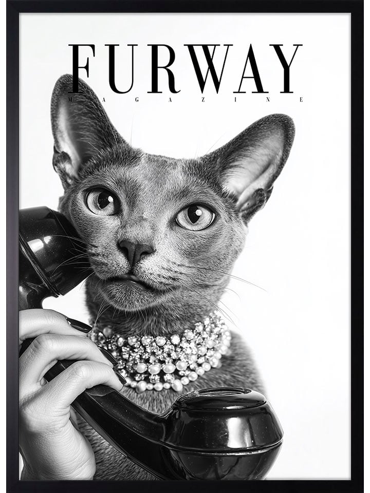 Ars Longa Gerahmter Kunstdruck "Elegance Cat" - (L)70 x (B)50 cm - onesize