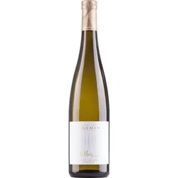 Tramin Pinot Bianco Moriz Alto Adige 2024