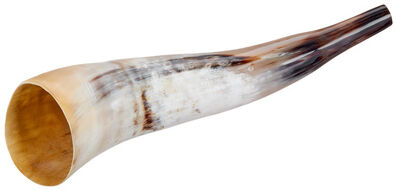 Thomann Cow Horn polished