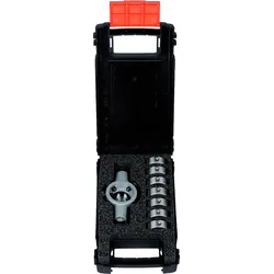 Projahn Schneideisen Satz HSS-G 8-tlg. M3 - M12 mit Schneideisenhalter
