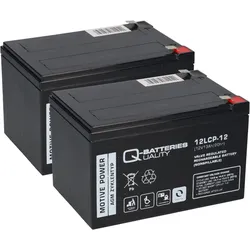 Akku-Satz 24V 13Ah passend für EMG