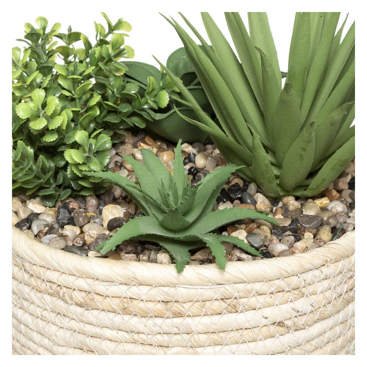 Atmosphera Sztuczna roślina doniczkowa 19 cm (19 cm) (69890548)