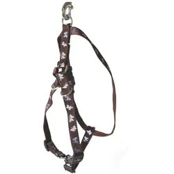 Arka Standard Hundegeschirr (Hund, Allgemein, Spazieren), Halsband + Leine