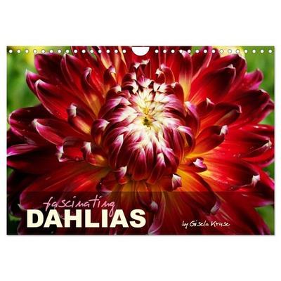 Fascinating Dahlias (Wall Calendar 2027 DIN A4 landscape), CALVENDO 12 Month Wall Calendar