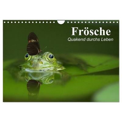 Frösche. Quakend durchs Leben (Wandkalender 2026 DIN A4 quer), CALVENDO Monatskalender