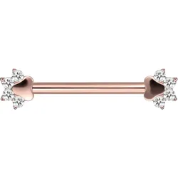 Titan Nippelpiercing mit Innengewinde KRISTALLPFOTE